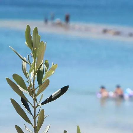 Campsite Ferias Mobile Homes Biograd Na Moru