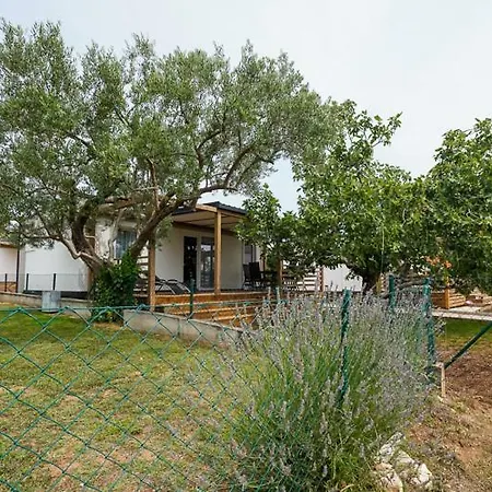 Campsite Ferias Mobile Homes