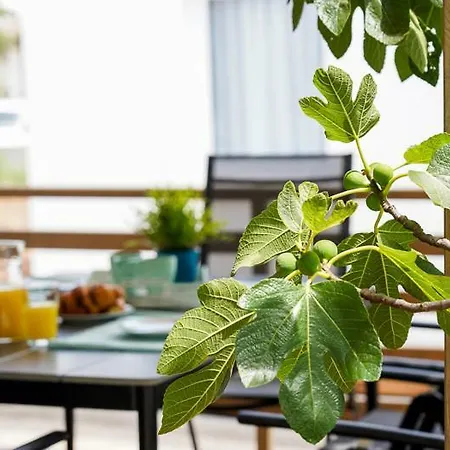 Kemping Ferias Mobile Homes Biograd na Moru